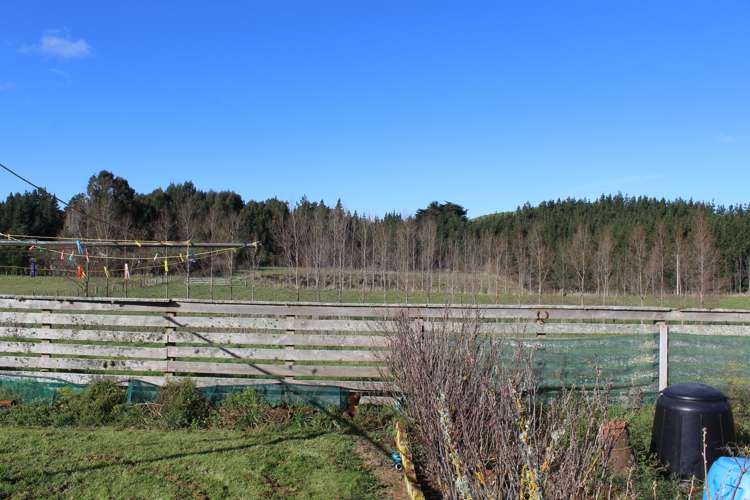 85 School Road Rangitikei Surrounds_8