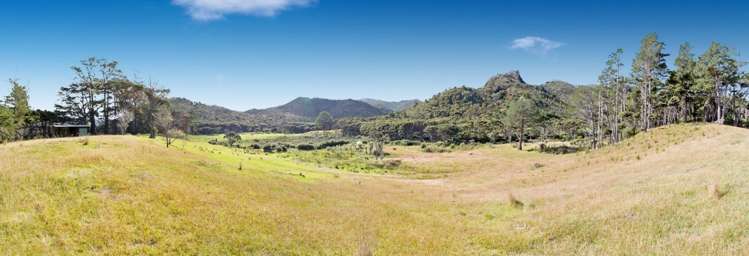 255 Gray Road Great Barrier Island (Aotea Island)_6