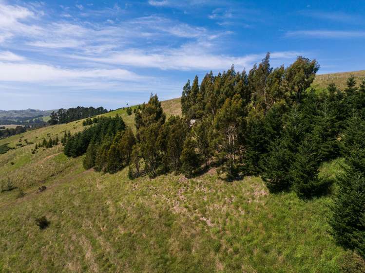 38 Valley Road Greta Valley_15