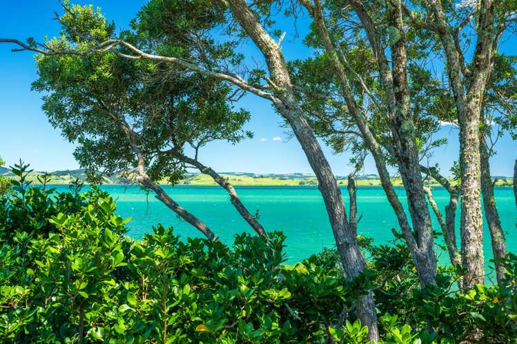 639 Whangarei Heads Road Tamaterau_34