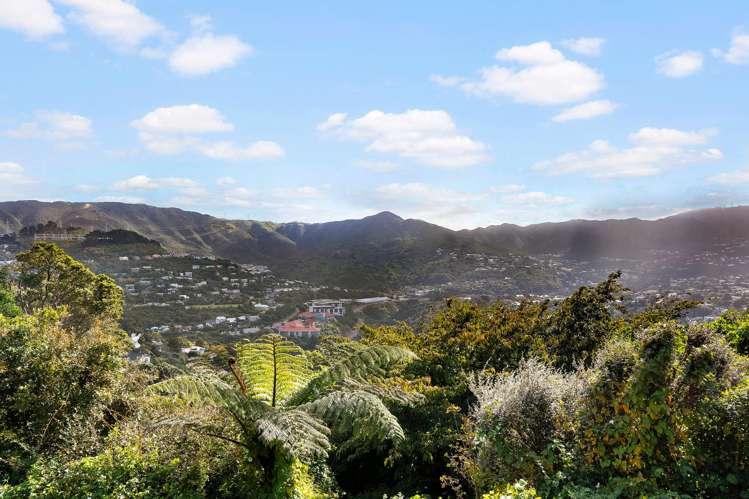 104 Weld Street Wadestown_16