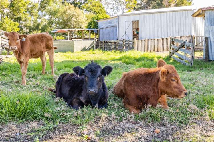 1375 State Highway 1 Okaihau_19