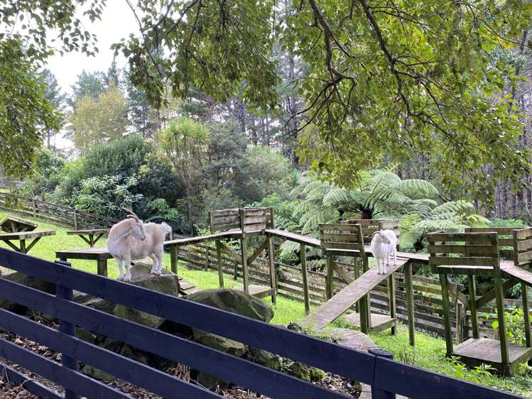 2 Cowan Bay Road Warkworth_4