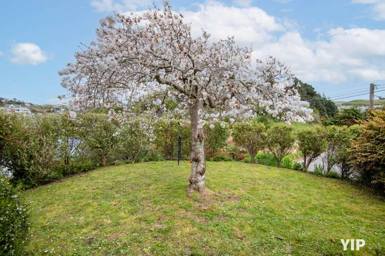 24 Glenside Road Glenside_21