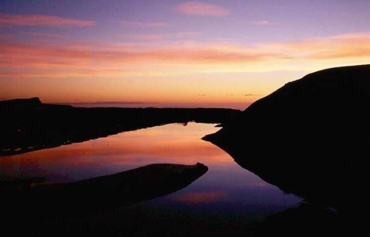 297 Cape Saunders Road Cape Saunders_16