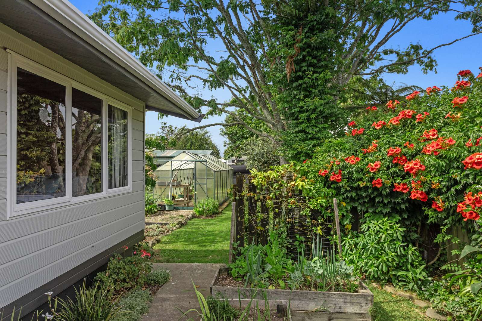 158 Richard Street Opotiki Ōpōtiki Houses for Sale One Roof