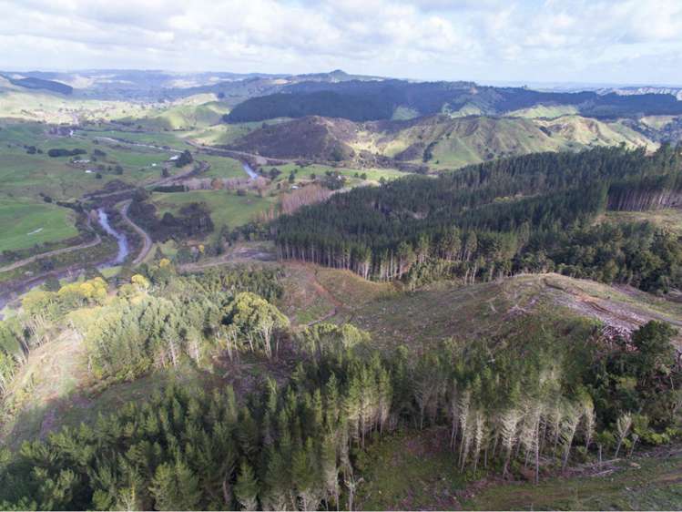 15 State Highway 49 Ohakune_13