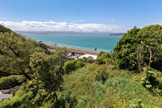 1A and 1B Rangiora Avenue Kaiwharawhara_2