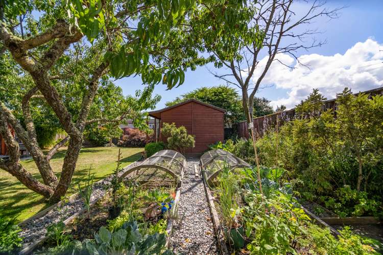 56 Green Street Tahunanui_21