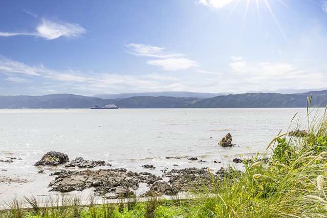 171 Marine Parade Seatoun_3