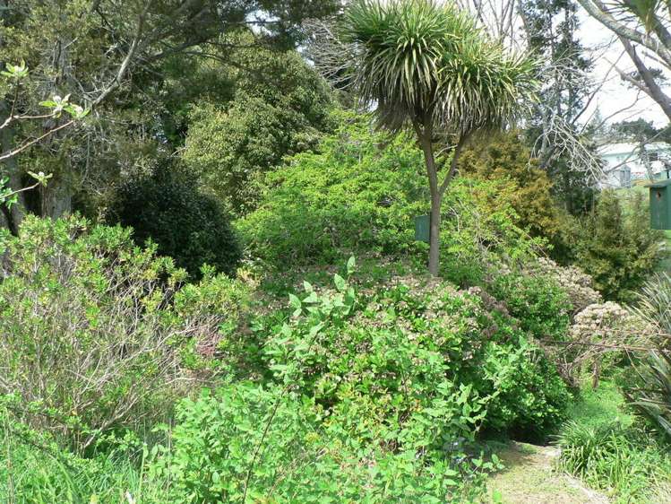 29 Ballance Street Kihikihi_7