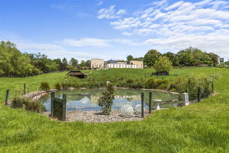 504 Thames Street Morrinsville_22