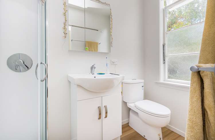 103 Coromandel Street Newtown_16