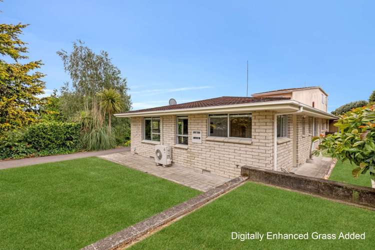 41 Sherwood Street Bellevue_7