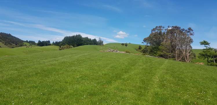 1726 Owaka Highway Kaka Point_16