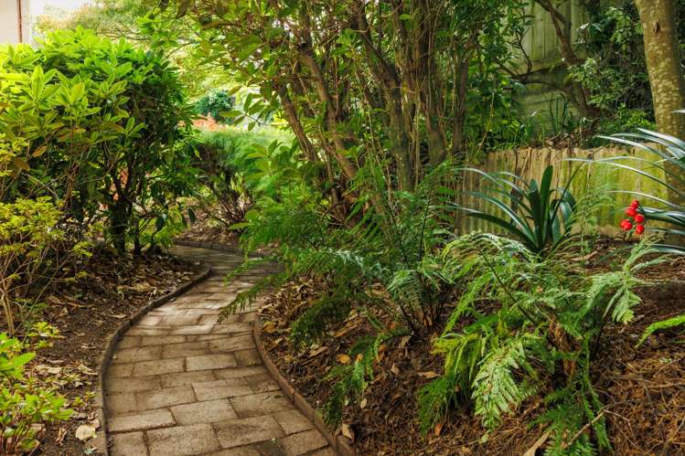 10 Epsom Road Hokowhitu_23