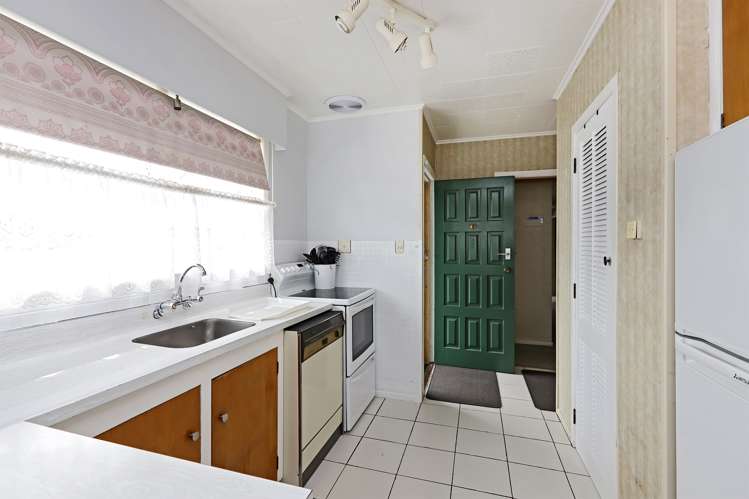 29 Alexander Avenue Onekawa_9