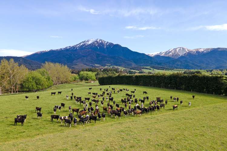 Boyds Road Mount Somers_3