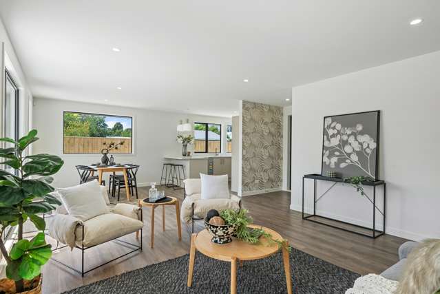 17a Gardener Street Levin_3