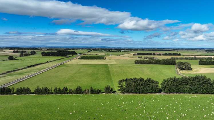 495. Thornbury Waimatuku Road Thornbury_6