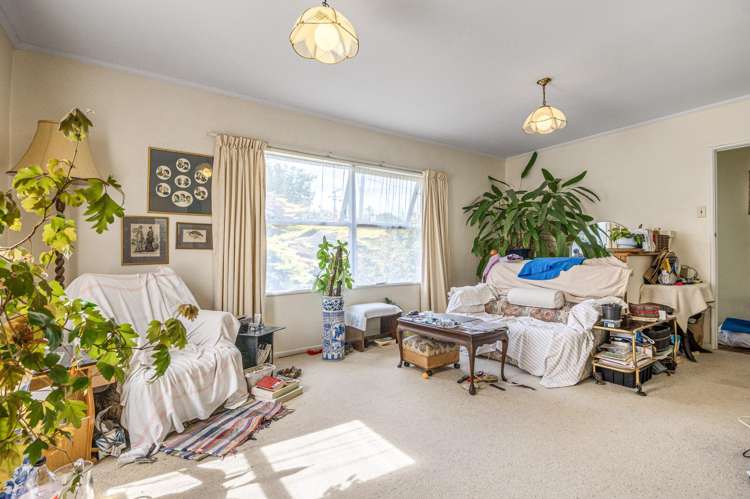 59 Webster Avenue Mount Roskill_3