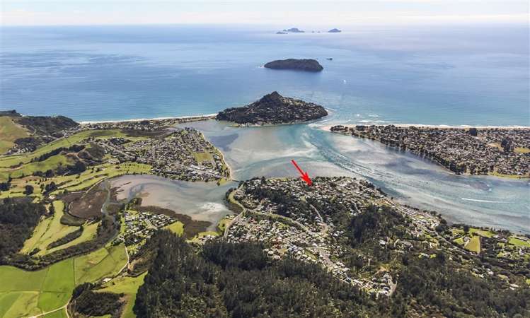 16 Pine Grove Tairua_21