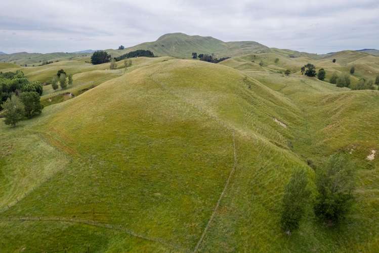 196 Ngapaeruru Road Dannevirke_9
