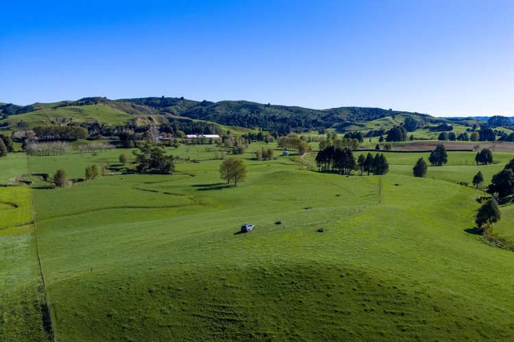 141 Te Mata Road Raglan_7