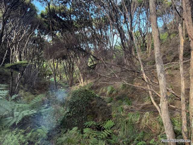 97 Medland Road Great Barrier Island_3