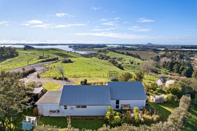 116 Turner Road Whakamarama_2