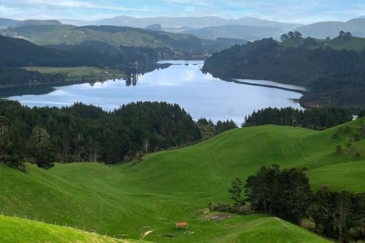 494B Dods Road Waikite Valley_29