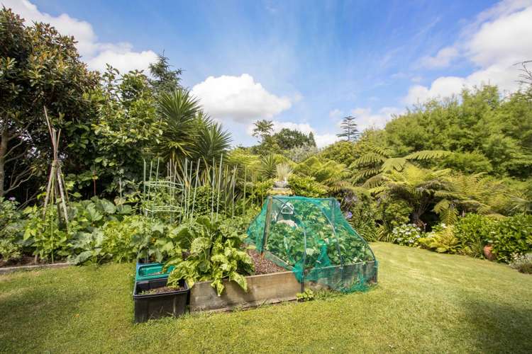 17 Kent Crescent Waihi_23