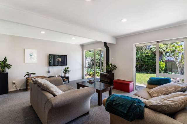 10b Mark Road Mount Albert_2