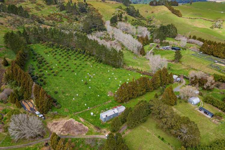 548b Waihi Whangamata Road_0