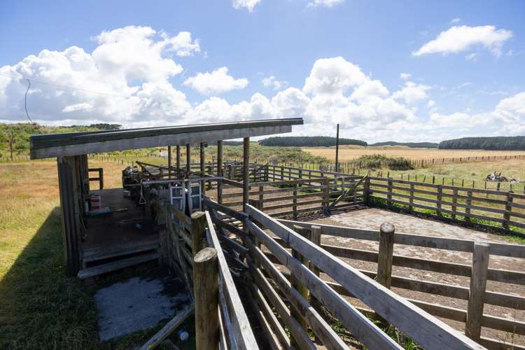 590 Brandon Hall Road Bulls_21