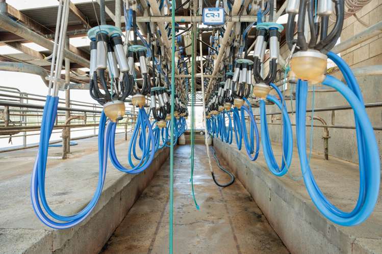 17 Chepmell Road Morrinsville_16