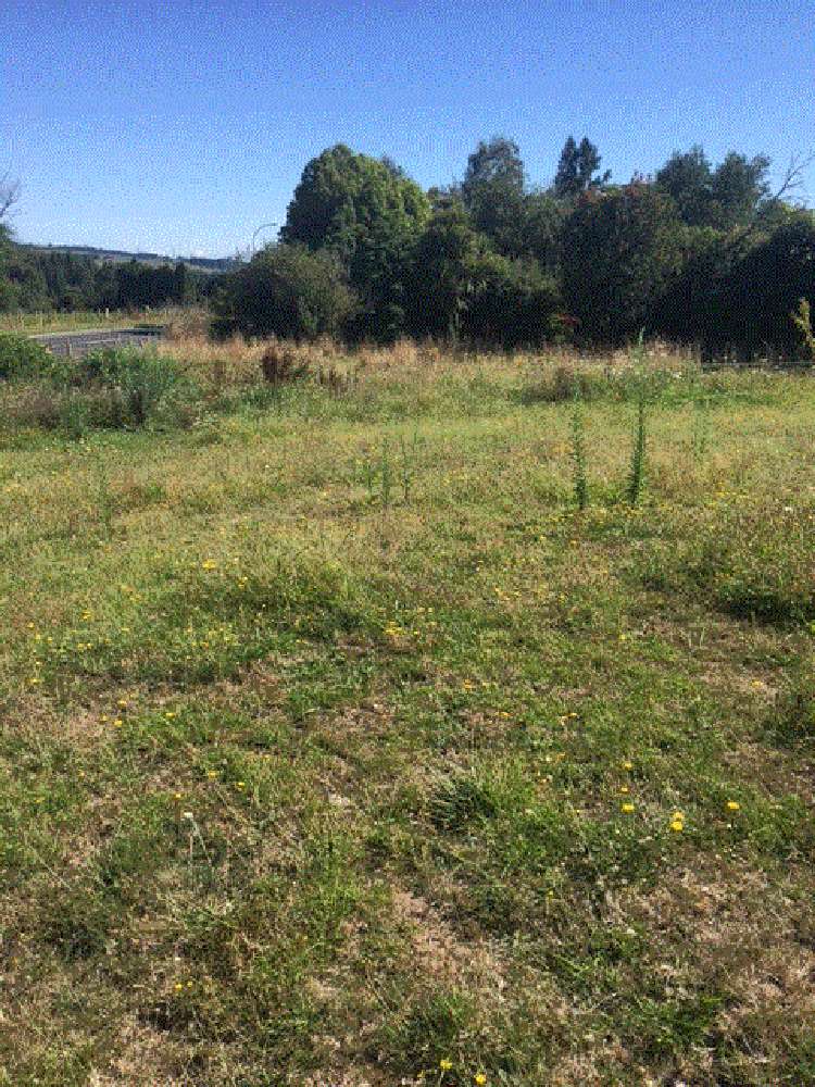 Arapuni Road Arapuni_2