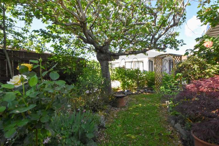 6 Chisholm Place Carterton_20