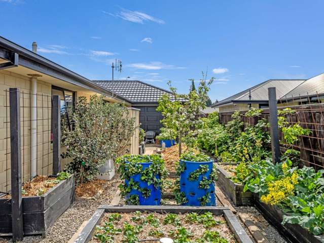 4 Shillingford Boulevard Rolleston_2