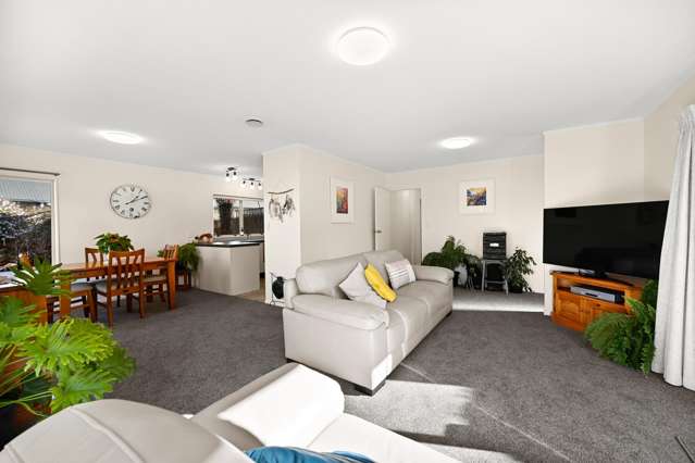 9A Short Street Claudelands_3