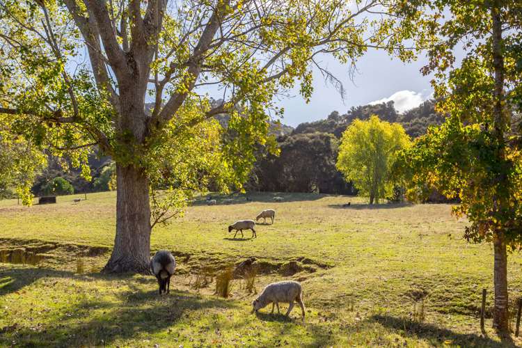 205 Caveland Road Te Whiti_20