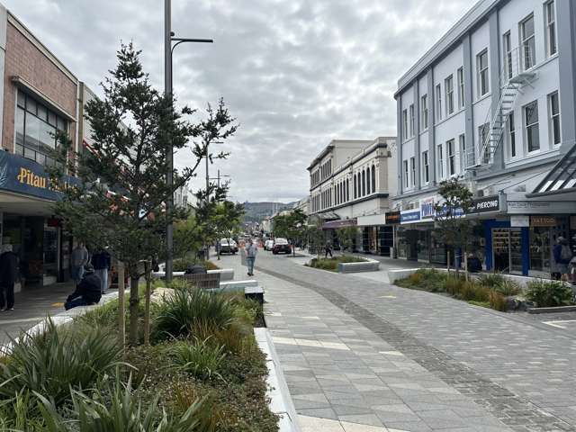 125 George Street Dunedin Central_2