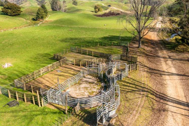 231 Leitch Road Piopio_3