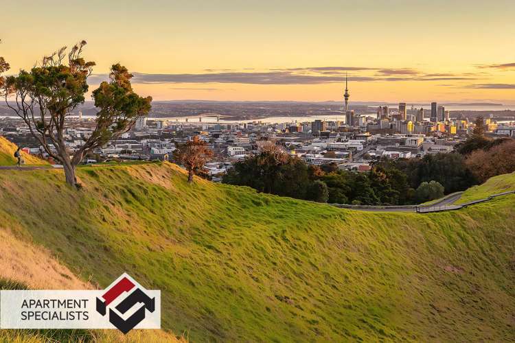50 Harold Street Mount Eden_26