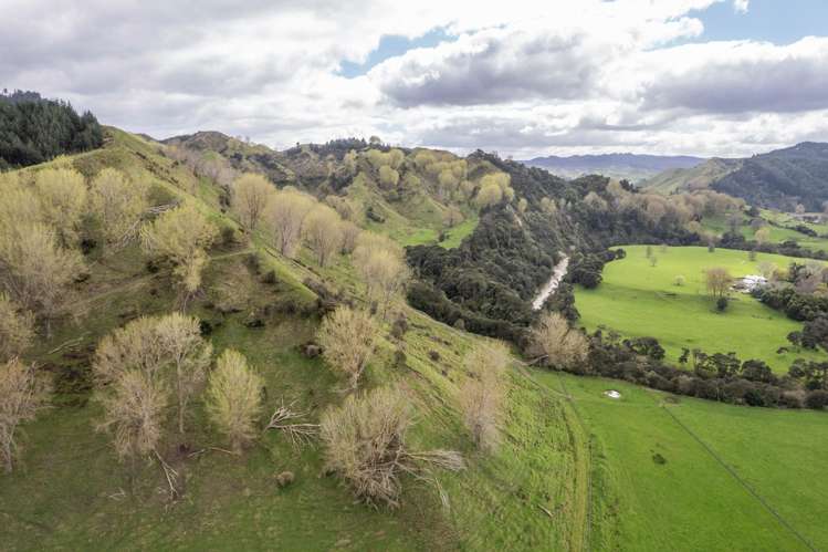 1471 Mangamahu Road Mangamahu_24