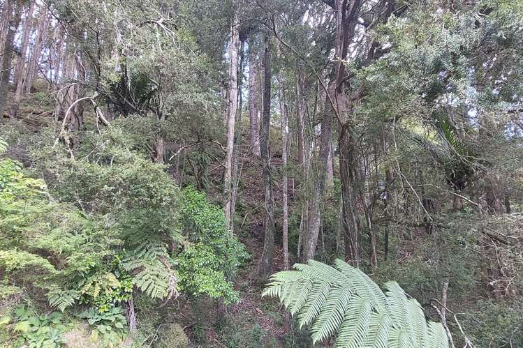 632 Marlow Road Maromaku_13