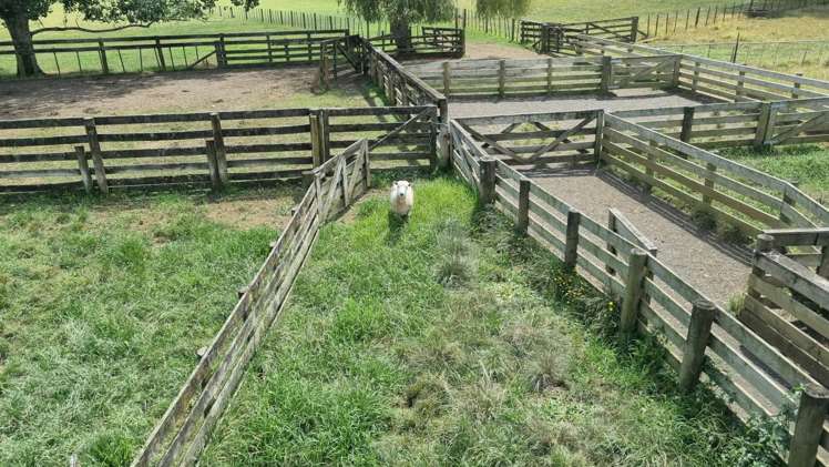 966 Te Ahu Ahu Road Kerikeri Surrounds_25