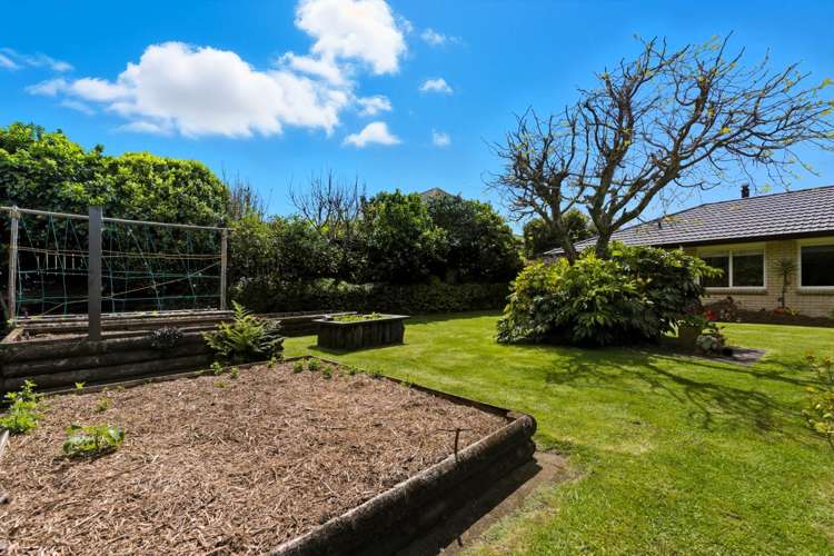 4 Owen Place Omokoroa_14