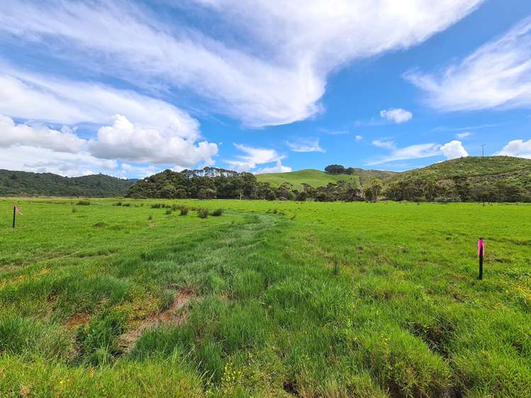 602 Port Charles Road Waikawau_11