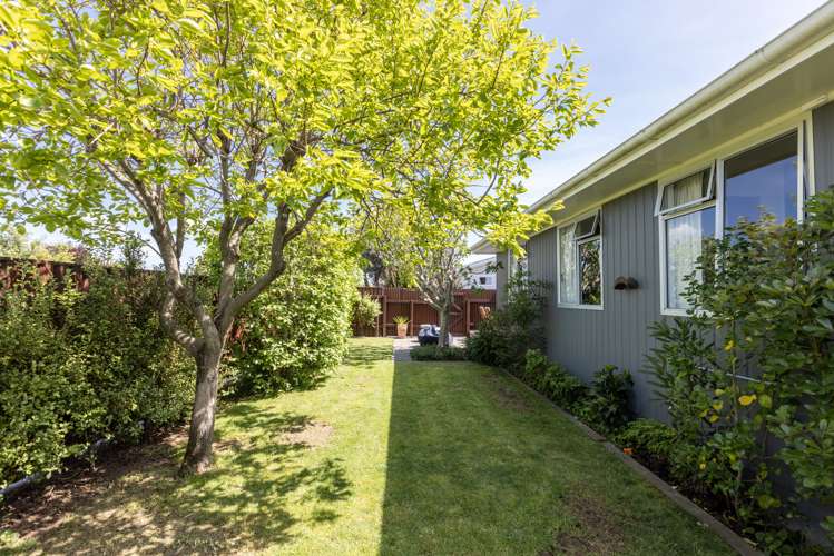30 Plunket Street Tamatea_14